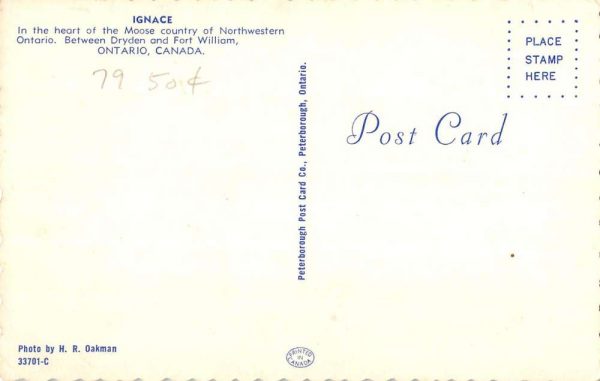 Fort William Ontario Canada Ignace Birdseye View Vintage Postcard K101658 - Image 2