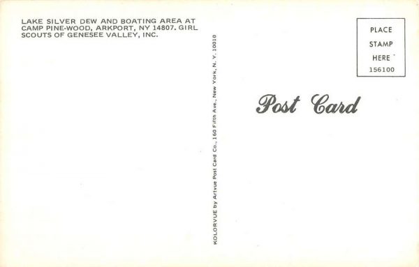 Arkport New York Lake Silver Dew Boating Area Vintage Postcard K101693 - Image 2
