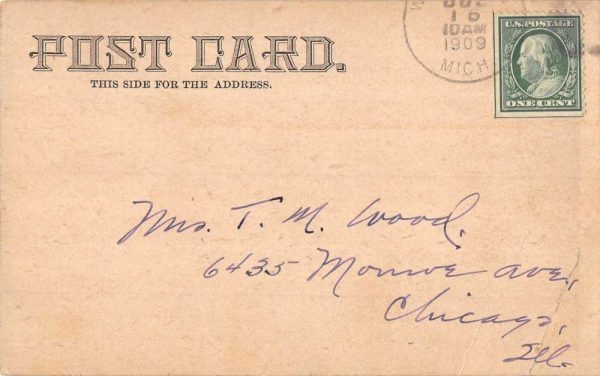 Whitehall Michigan Division Street Scene Antique Postcard K101755 - Image 2