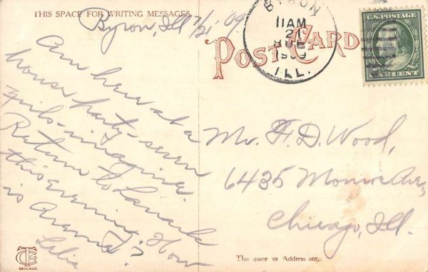 Byron Illinois Bluffs Pulpit Rock Scenic View Antique Postcard K101839 - Image 2