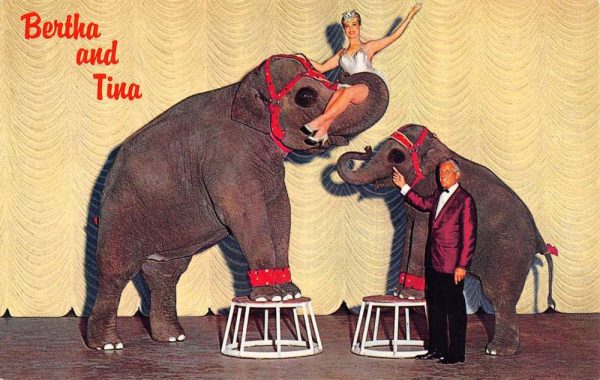 Sparks Nevada Gold Nugget Elephants Vintage Postcard K101922