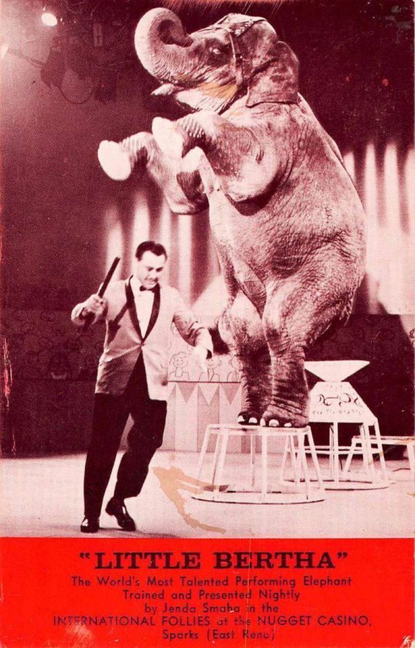 Sparks Nevada Gold Nugget Bertha Elephant Vintage Postcard K101923
