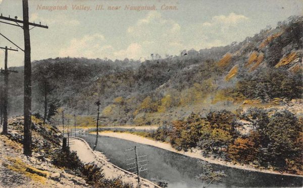 Naugatuck Connecticut Valley Birdseye View Antique Postcard K101931