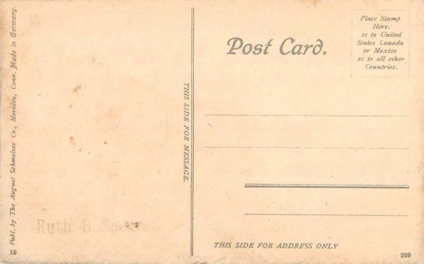 Naugatuck Connecticut Valley Birdseye View Antique Postcard K101931 - Image 2