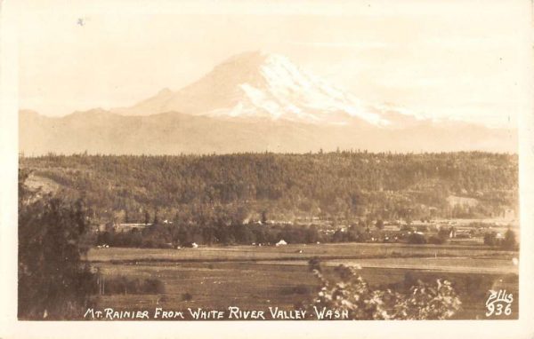 White River Valley Washington Mt Rainier Real Photo Antique Postcard K101938