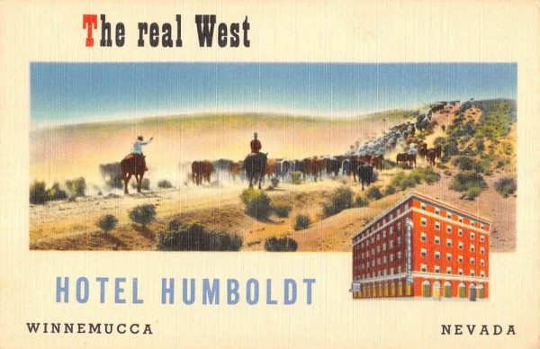 Winnemucca Nevada Hotel Humboldt Cattle Antique Postcard K102054
