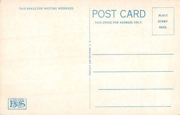 Greensboro North Carolina College East Walk Antique Postcard K102204 - Image 2