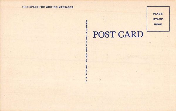 Fayetteville North Carolina Hotel La Fayette Street View Antique Postcard K102270 - Image 2