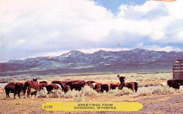 Shoshoni Wyoming Cattle Farming Scene Vintage Postcard J78873