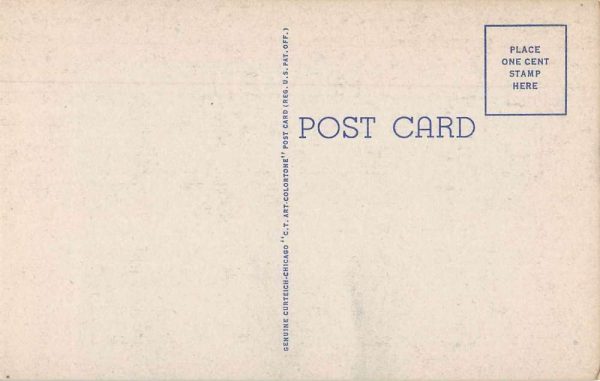 McEwen Tennessee Large Letter Linen Greetings Antique Postcard J78891 - Image 2