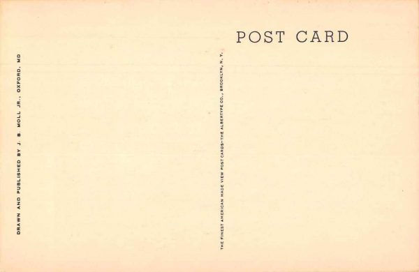 Washington DC American Association of University Women Antique Postcard J78991 - Image 2