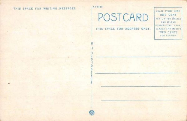 Williams Arizona Birdseye View Of City Antique Postcard K102498 - Image 2