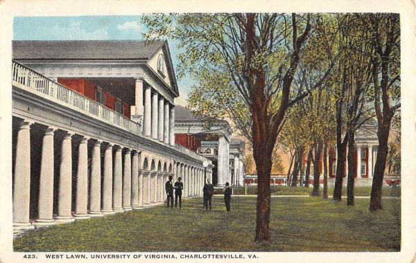 Charlottesville Virginia University West Lawn Antique Postcard K102511