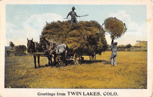 Twin Lakes Colorado Hay Horse Cart Farming Antique Postcard K102569