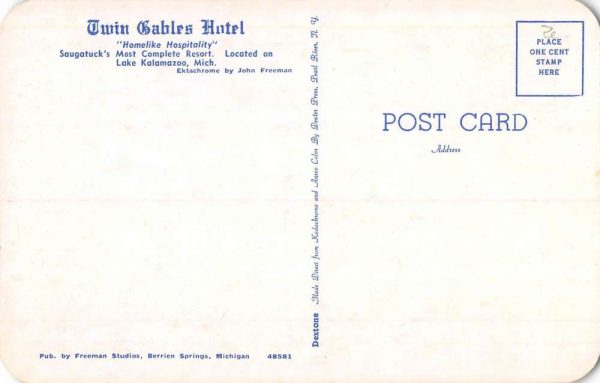 Lake Kalamazoo Michigan Twin Gables Hotel Street View Vintage Postcard K102575 - Image 2