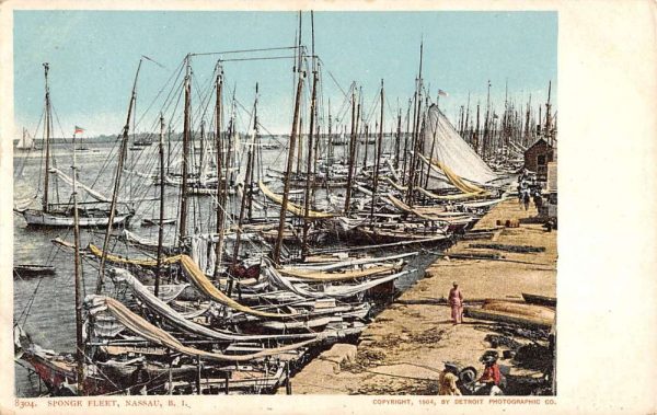 Nassau Bahamas Sponge Fleet Ships Detroit Pub Antique Postcard K102651