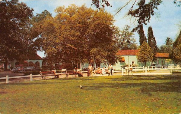 Ocean Springs Mississippi Dude Ranch Golf Club Vintage Postcard K102951