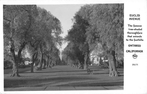 Ontario California Euclid Avenue Frasher Real Photo Antique Postcard K103072
