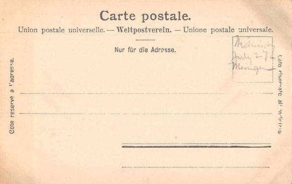 Meiringen Switzerland Birds Eye View Antique Postcard J79067 - Image 2