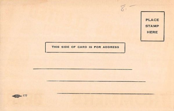 Trommers Malt Beer Newspaper Elected Advertisement Antique Postcard K103153 - Image 2