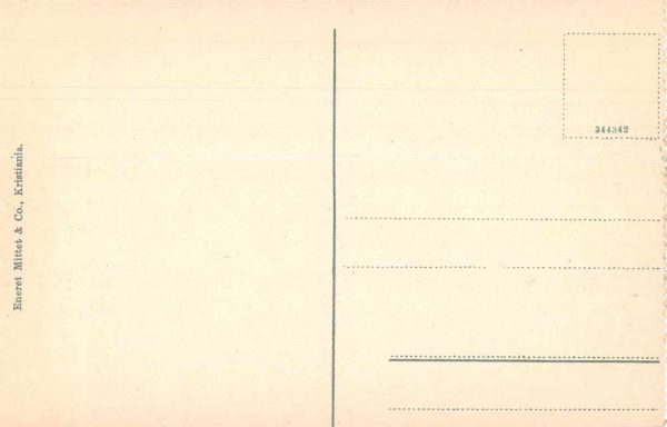 Kristiania Norway Frogersaeteren Birds Eye View Antique Postcard J79091 - Image 2