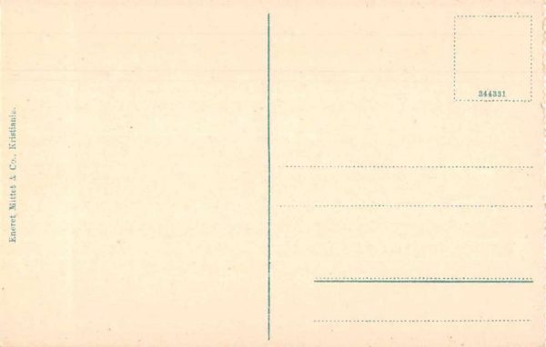 Kristiania Norway University Scenic View Antique Postcard J79234 - Image 2