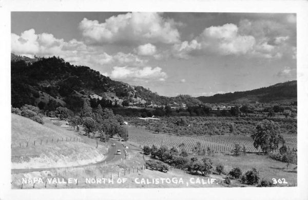 Calistoga California Napa Valley Real Photo Antique Postcard K103579