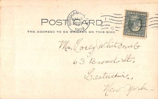 Binghamton New York Scenic City View Real Photo Antique Postcard K103583 - Image 2