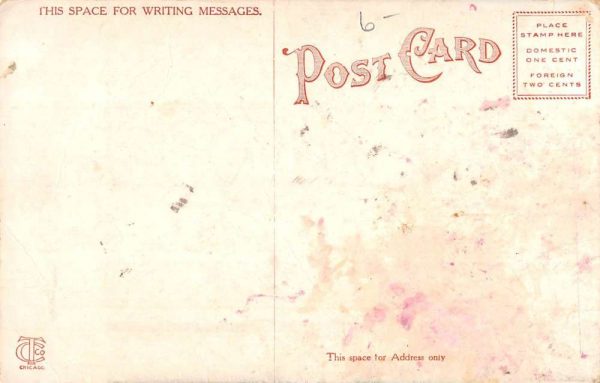 Markesan Wisconsin Pleasant Point Little Green Lake Antique Postcard K103634 - Image 2