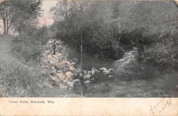 Norwalk Wisconsin Trout Falls Scenic View Antique Postcard K103635