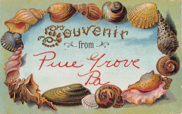 Pine Grove Pennsylvania Souvenir Seashell Border Antique Postcard K103638