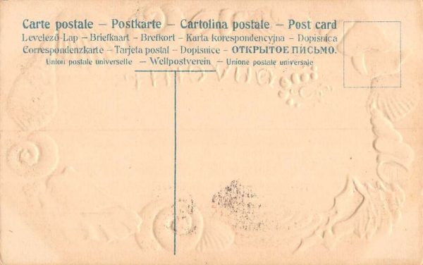 Pine Grove Pennsylvania Souvenir Seashell Border Antique Postcard K103638 - Image 2