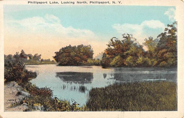 Phillipsport New York Lake Looking North Antique Postcard K103665