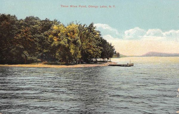 Otsego Lake New York Three Miles Point Waterfront Antique Postcard K101360