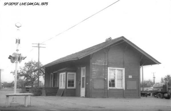 Live Oak California SP Railroad Depot Real Photo Vintage Postcard K103800