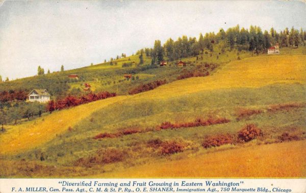 Washington Fruit Farm Scenic View Birdseye Antique Postcard K103860