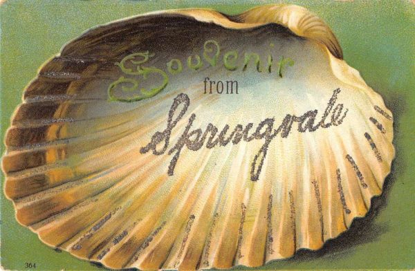 Springvale Maine Seashell Souvenir Antique Postcard K103998