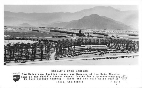 Indio California Shields Date Gardens Frasher Real Photo Postcard K104108