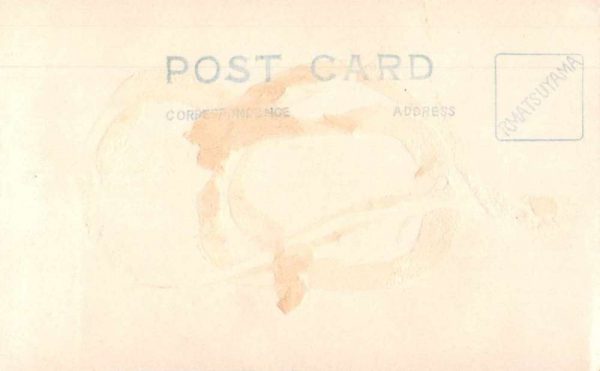 Nara Japan Narapark Deer Real Photo Antique Postcard J79750 - Image 2