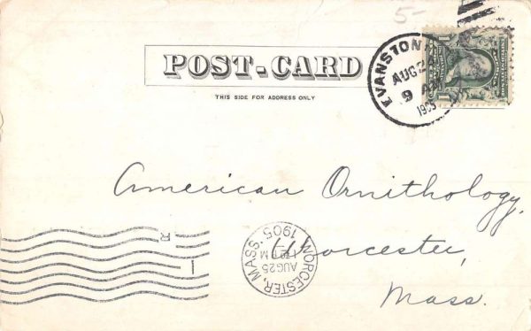 Evanston Indiana Sheridan Road Scenic View Antique Postcard K104355 - Image 2