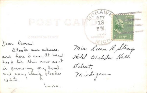 Mohawk Michigan Lake Fanny Hoe Real Photo Antique Postcard K104470 - Image 2