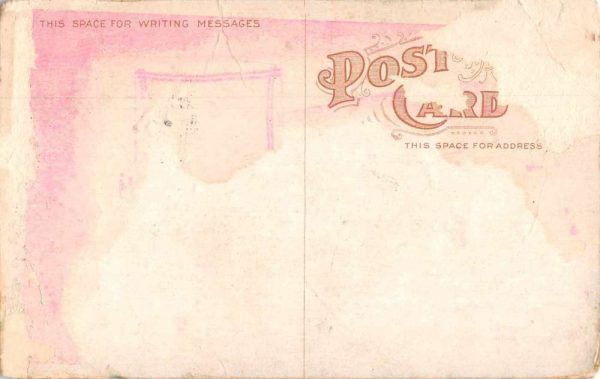 Presidential Election Chafin Watkins Prohibition Antique Postcard J79821 - Image 2