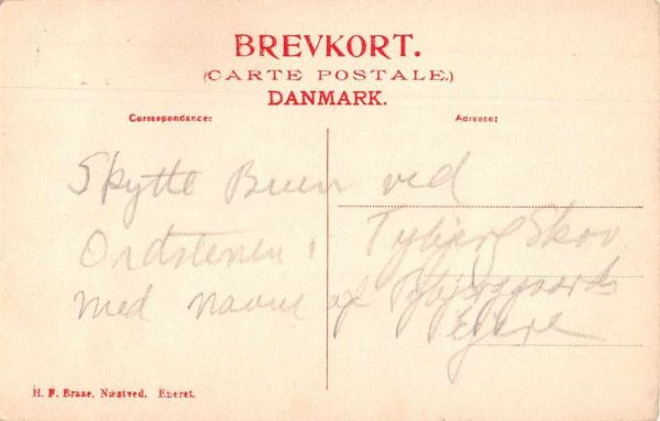 Thybjergskov Denmark Stenen Man with Dog by Memorial Antique Postcard J79835 - Image 2