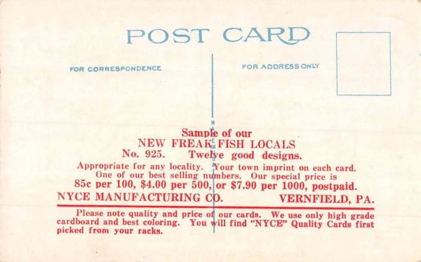 Vernfield Pennsylvania Large Fish Catch Humor Antique Postcard K104590 - Image 2
