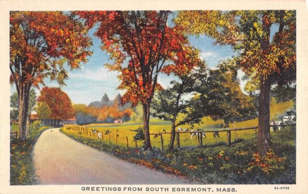 South Egremont Massachusetts Cow Pasture Greeting Antique Postcard K104604