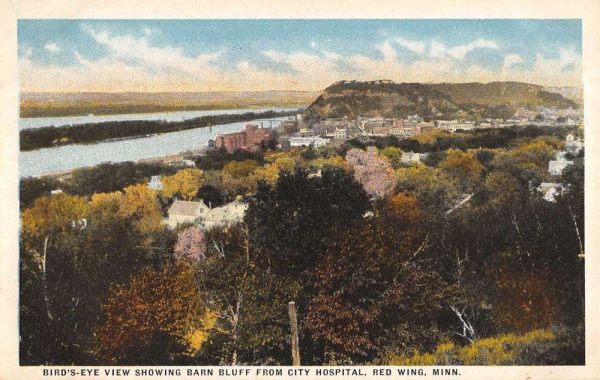 Red Wing Minnesota Birdseye View Of City Antique Postcard K104713