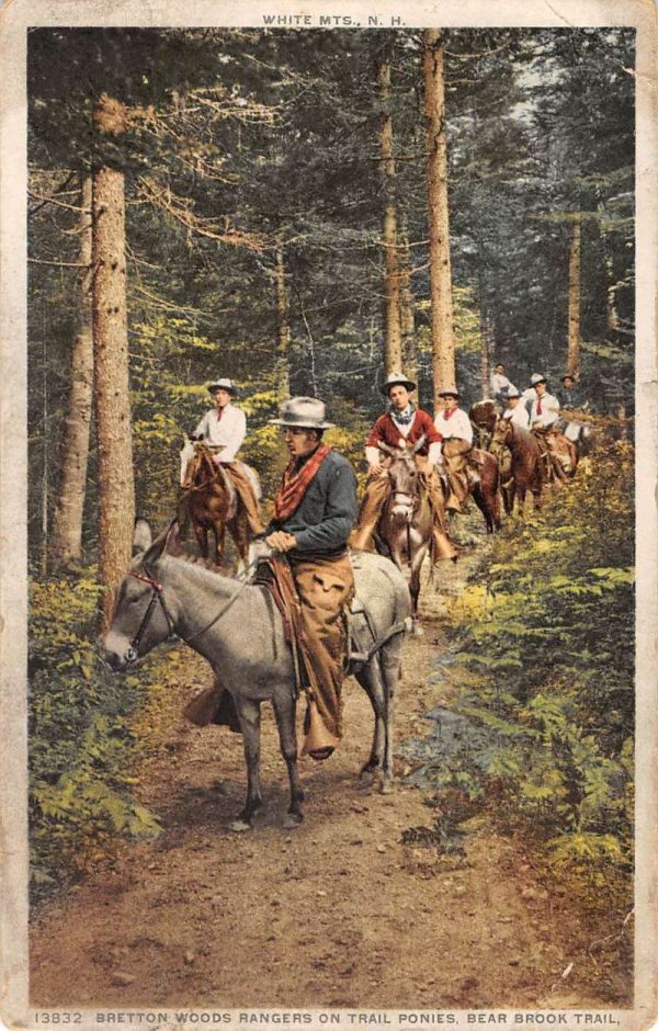 White Mountains New Hampshire Pony Ride Trail Antique Postcard K104822