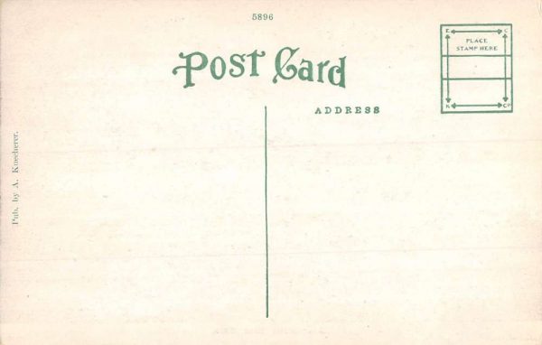 Zoar Ohio Hotel Street View Antique Postcard K104838 - Image 2