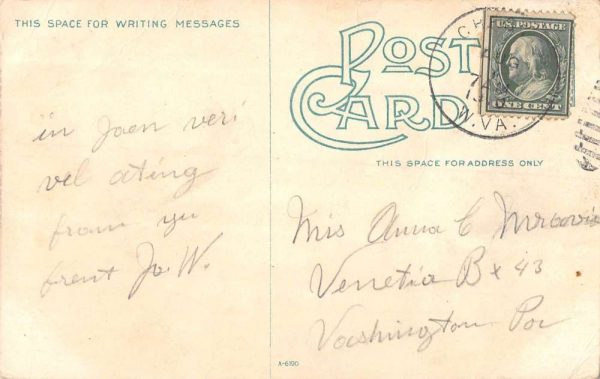 Chester West Virginia Rock Springs Park Birdseye View Antique Postcard K104908 - Image 2
