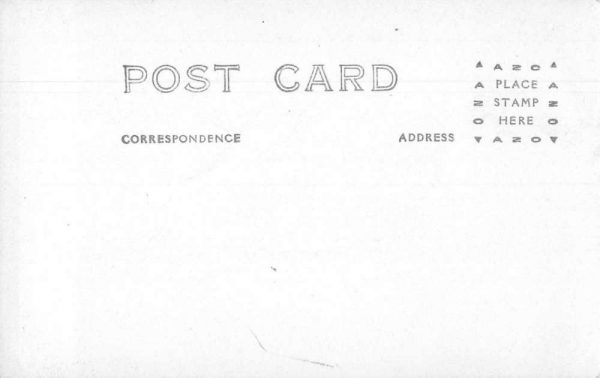 Cochella Valley California Date Palms Real Photo Antique Postcard J80006 - Image 2